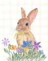 Image Not Available